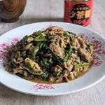 【清香號，上菜！】 沙茶羊肉燴飯